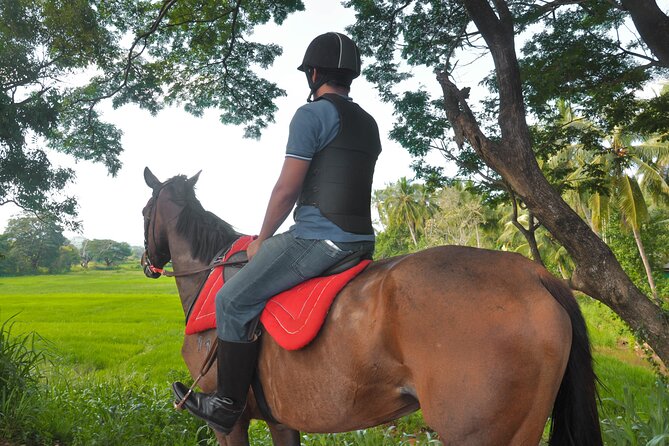 Horse Riding for Professionals in Dambulla - Booking Information