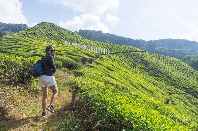 Join Transfer : Taman Negara National Park (Kuala Tahan) to Cameron Highlands - Additional Important Information