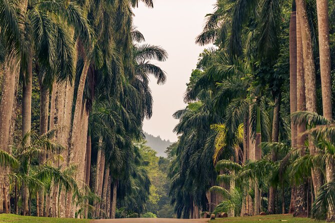 Kandy City Tour From Hikkaduwa - Cancellation Policy