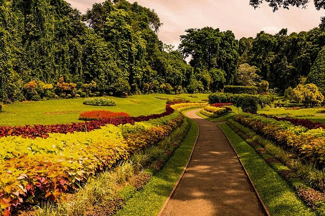 Kandy Day Tour - Two Temples, Kandy City and Peradeniya Garden - Peradeniya Botanical Garden Visit