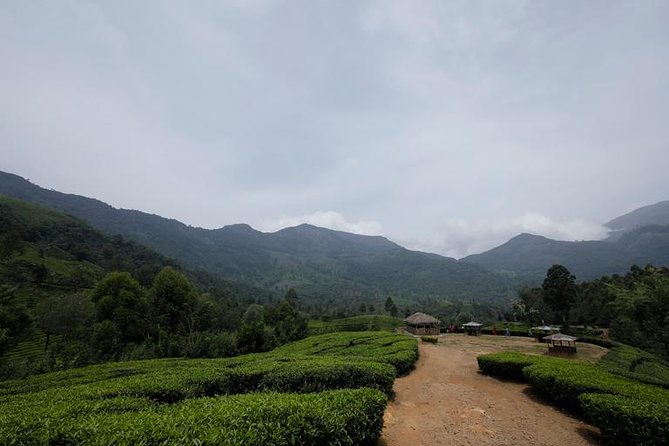 Kerala Backwater and Beach - Pickup and Transfer Information