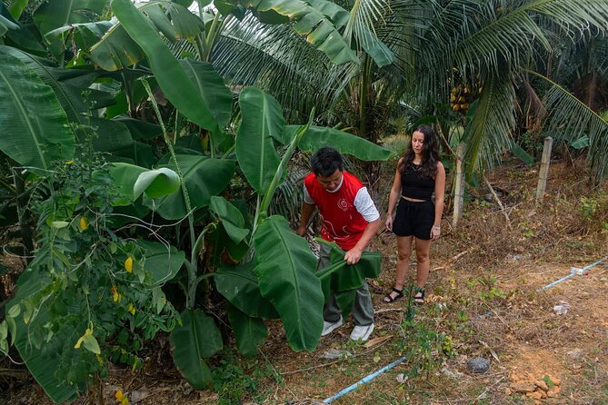 Khao Lak Elephant Sanctuary Full Day Small Group Tour - Activities Included