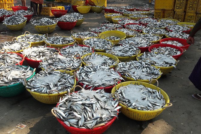 Kochi Fishing Village Excursions - Cancellation Policy