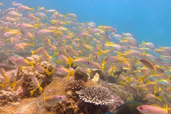 Koh Rong Sanloem Diving for Beginners - Directions to Meeting Point