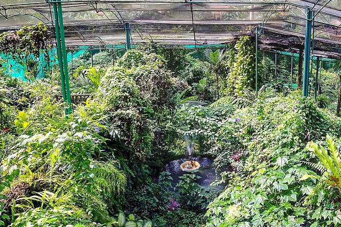Kuala Lumpur Bird Park, Butterfly Farm And Taman Orkid Include All Entrance - Excluded Expenses
