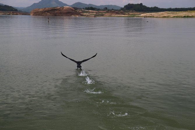 Live Among Swimming Elephants and Indigenous Tribes – Gal Oya National Park - Insider Tips for Visitors