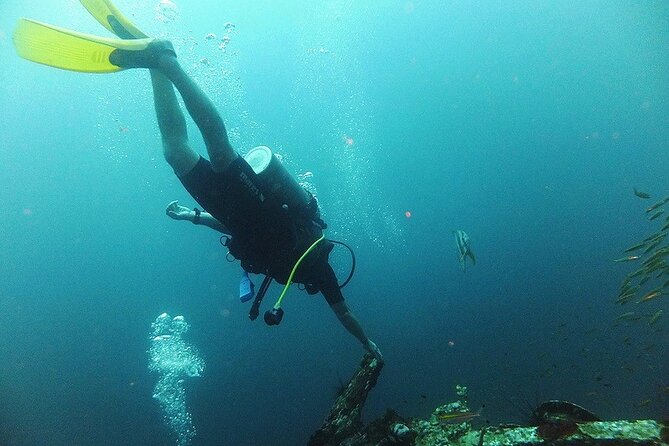 Mantanani Island Snorkeling or Diving From Kota Kinabalu - The Sum Up