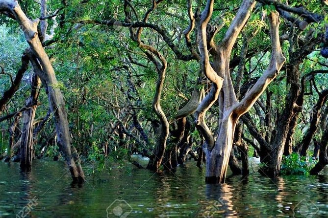 Mechrey Floating Village Tour & Mangrove From Siem Reap - Free Cancellation & Reservation