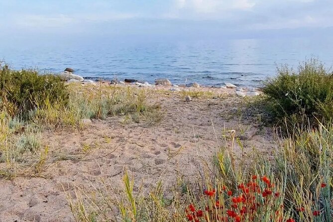 Mountains of Kyrgyzstan Around Lake Issyk-Kul in 3 Days - Transportation Information