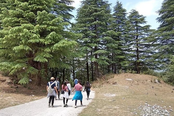 Mussoorie Walking Tour - Hathipaon to Clouds End - The Sum Up
