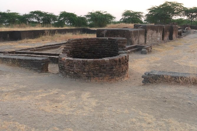 Nal Sarovar Bird Sanctuary & Lothal Day Tour From Ahmedabad - Pricing and Booking Details