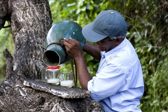 Negombo Countryside Cycling Tour (Toddy Hunt Ride) - Directions and Exploration
