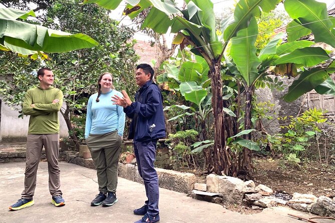 Ninh Binh Small Group of 9 Guided Tour to Mua Cave Tam Coc Hoa Lu - Pricing and Booking Information