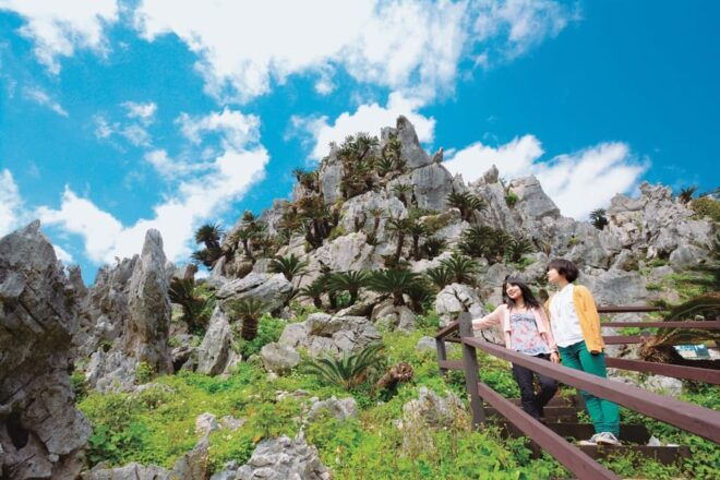 Northern Okinawa National Park Enjoyment Course【C-course】 - Dining Experience