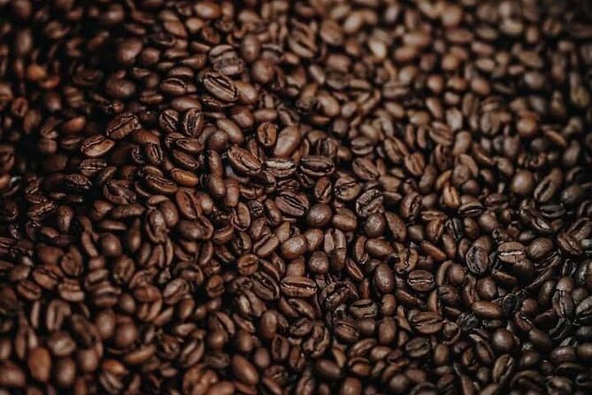 Organic Coffee Farm, Discover How to Make Specialty Coffee Da Lat - The Sum Up