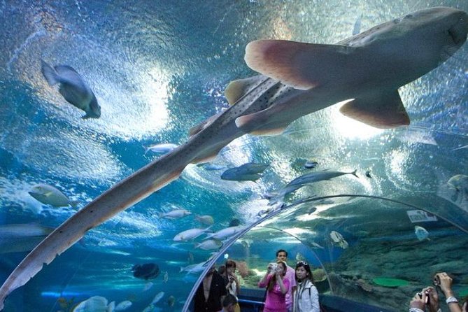 PATTAYA: Join Tour Under Water World Pattaya - Booking Information