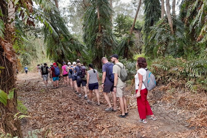 Phu Quoc Trekking and Saddle Up Board in Rach Tram River - The Sum Up