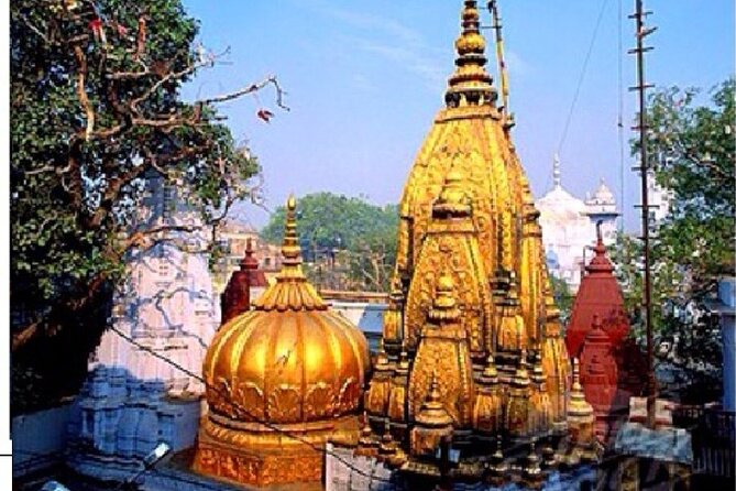 Private 5-Hour Varanasi Tour at Dawn Including Boat Ride - Pricing and Booking
