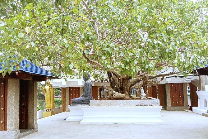 Private Port Shore Excursions Panoramic Colombo City Tours - The Sum Up