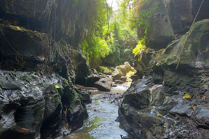 Private River Trekking at Hidden Canyon Beji in Bali With Hotel Pickup - Terrain and Physical Requirements