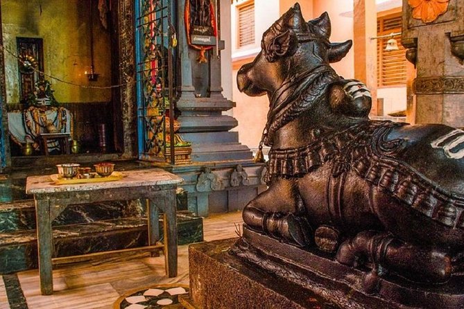 Private Riverside Walking Tour to Varanasi Temples - What to Expect