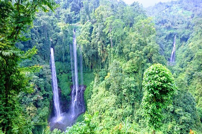 Private Tour The Magical Sekumpul Waterfall in The North of Bali - Frequently Asked Questions