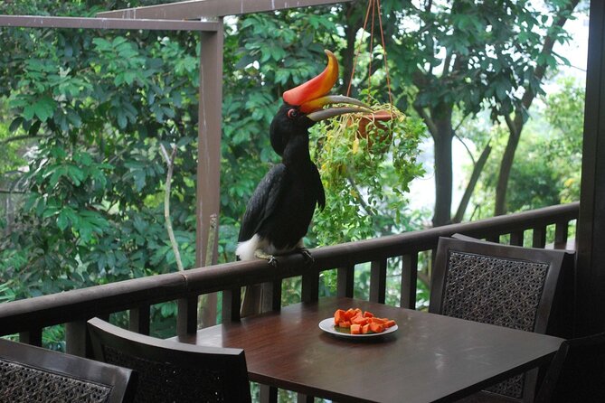 Private Tour to Kuala Lumpur Nature and Garden Iconic Locations - Frequently Asked Questions