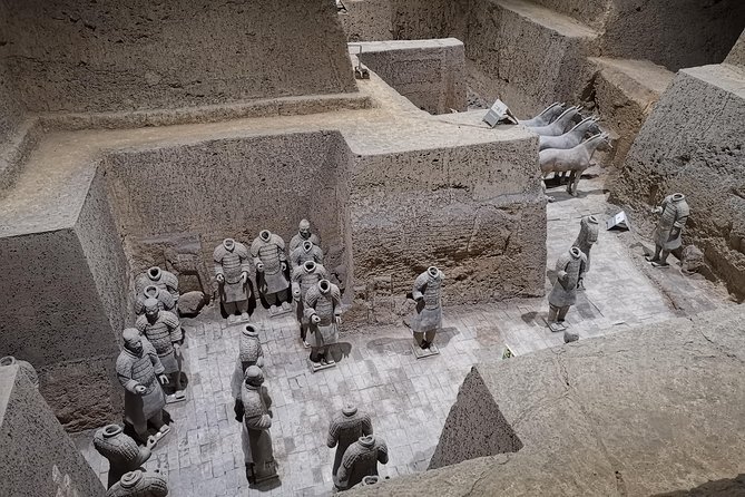 Private Tour:Terracotta Warriors&City Wall and Muslim Quarter - Professional English Speaking Tour Guide