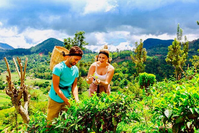 Private Transfer To Ella From Sigiriya Dambulla or Habarana - Frequently Asked Questions