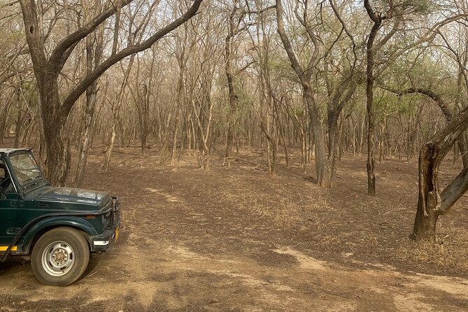 Ranthambore Crocodile Safari - Village Walk | Hi-Tea | Boat Ride | Open Jeeps - Directions to Pickup Point