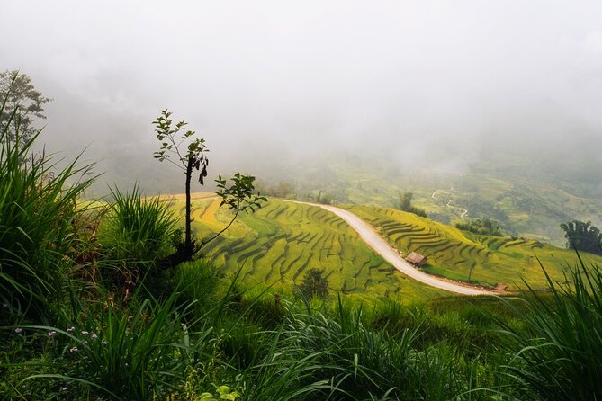Remote Sapa Tour in Countryside of Nam Cang – Nam Nhiu Villages - Scenic Highlights
