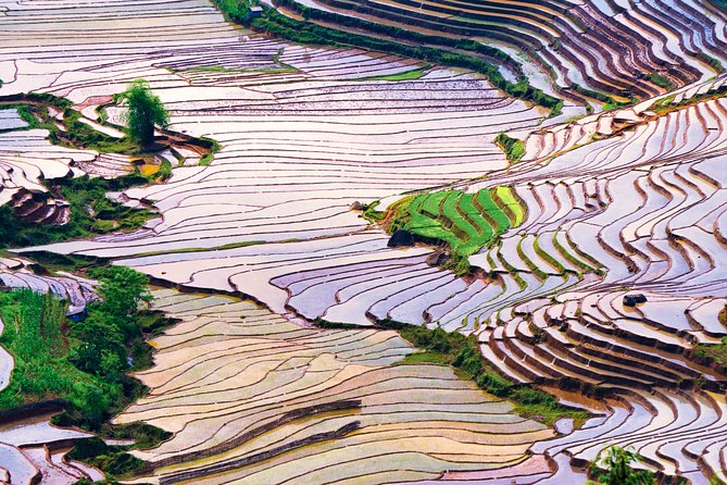 Sapa Loop With Easy Riders- 2 Days 1 Night - Booking and Pricing