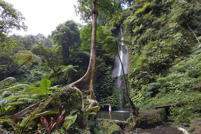 Seven Wonder Waterfalls Trekking - Local Tour Guide
