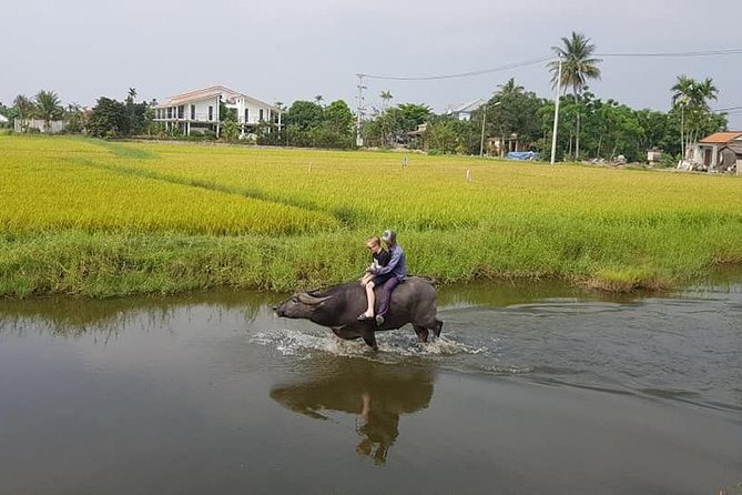 SHORE EXCURSION TIEN SA or CHAN MAY Port to HOI an COUNTRYSIDE Plus FOOT MASSAGE - Additional Info and Price