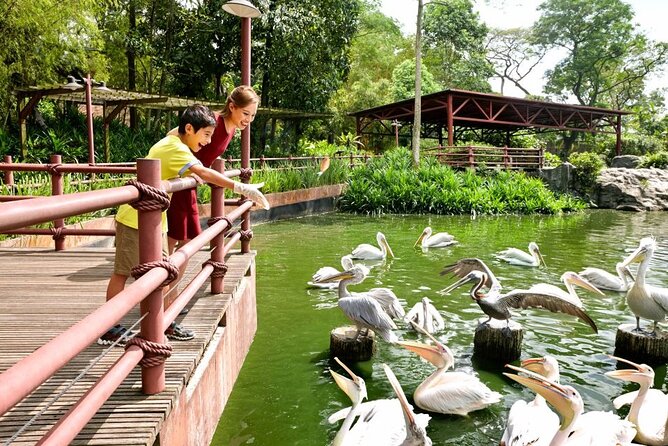 Singapore Zoo - Operating Schedule