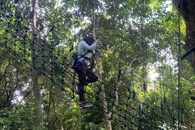 Skytrex Adventure in Langkawi (With Transfers) - The Sum Up