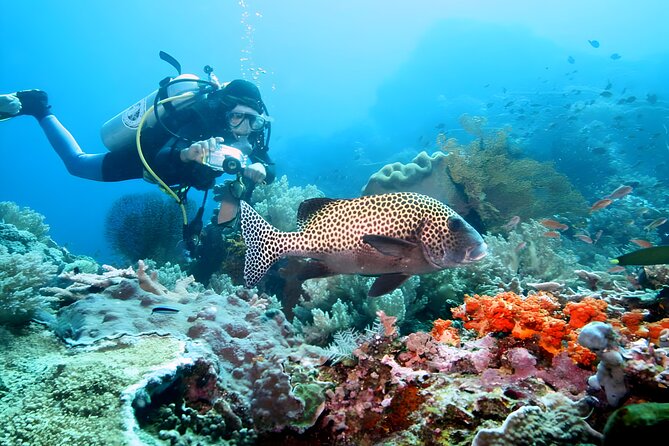 Tanjung Benoa Water Sports: All Inclusive Bali Activities - Booking and Reservation