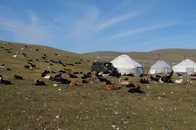 Taste of Mongolian Altai - Frequently Asked Questions