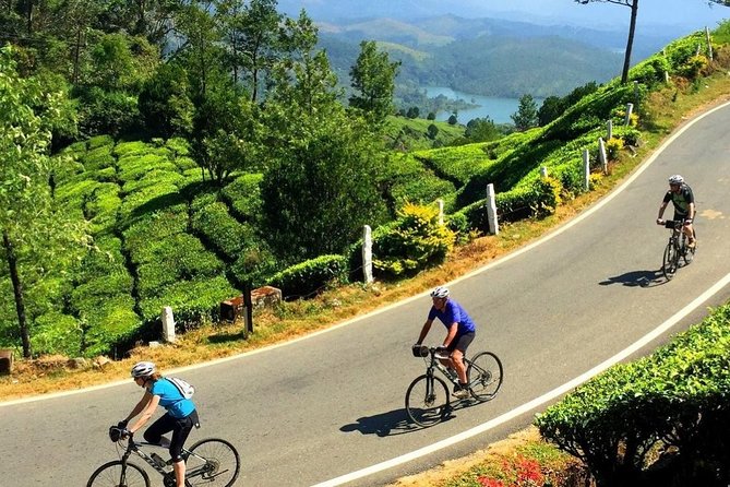 Tea Fields by Bicycle From Kandy - Accessibility Information