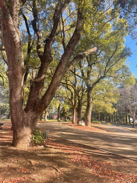 Tokyo: 1day Relaxing Guided Retreat for Solo-Trip Girls♡ - What to Bring