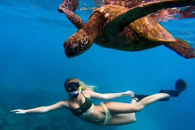 Trinco Tour a - Snorkeling & Island Hopping Tour - Tour Inclusions