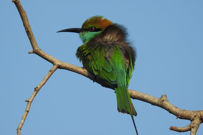 Two Day Yala National Park Tour - Directions
