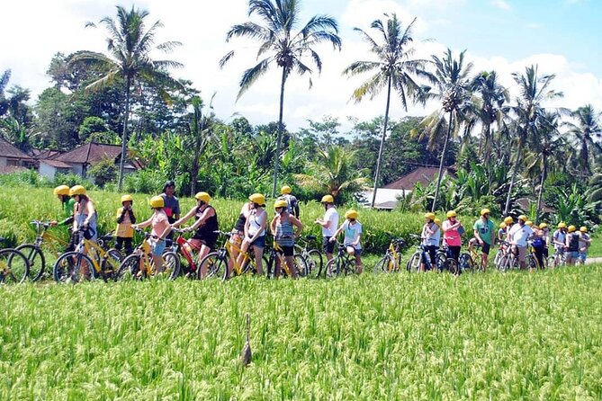 Ubud Cycling in Bali All Inclusive - The Sum Up