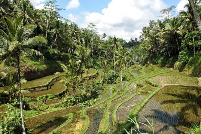 Ubud Explorer Private Day Tour - Directions