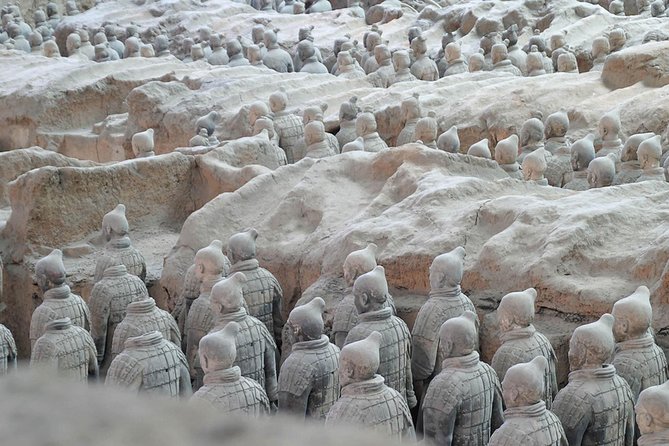 Xian Private Tour: Terracotta Warriors and Banpo Museum - Lowest Price Guarantee