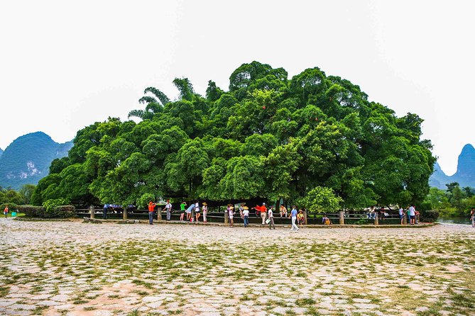 Yangshuo Day Tour: Big Banyan Tree, Moon Hill, West Street, Bamboo Raft Tour - Price Information