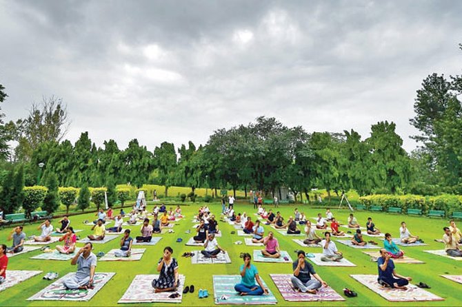Yoga and Meditation Tour at Delhi on Private Basis - Price and Guarantees