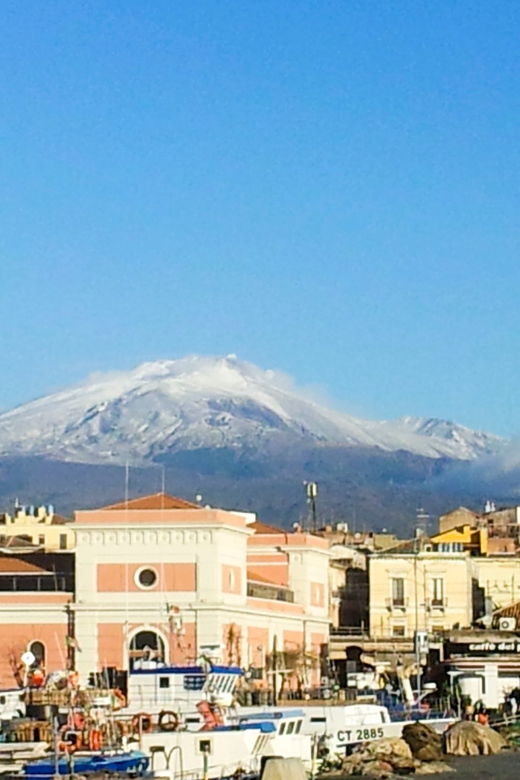 6-Hour Mount Etna Excursion