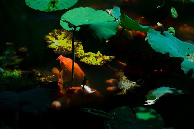 2-Days Private Hangzhou & Wuzhen Watertown Tour - Cultural Activities