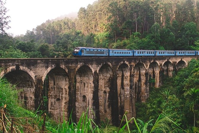 5 Days Private Tour With English Speaking Guide - Explore Sri Lanka - The Sum Up